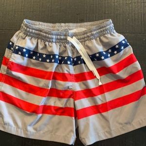 Chubbies 5.5 inch medium bathing suit
